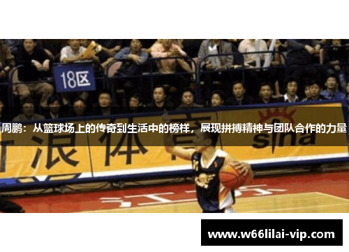 周鹏：从篮球场上的传奇到生活中的榜样，展现拼搏精神与团队合作的力量